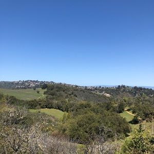 Meet your Posher, Nishita